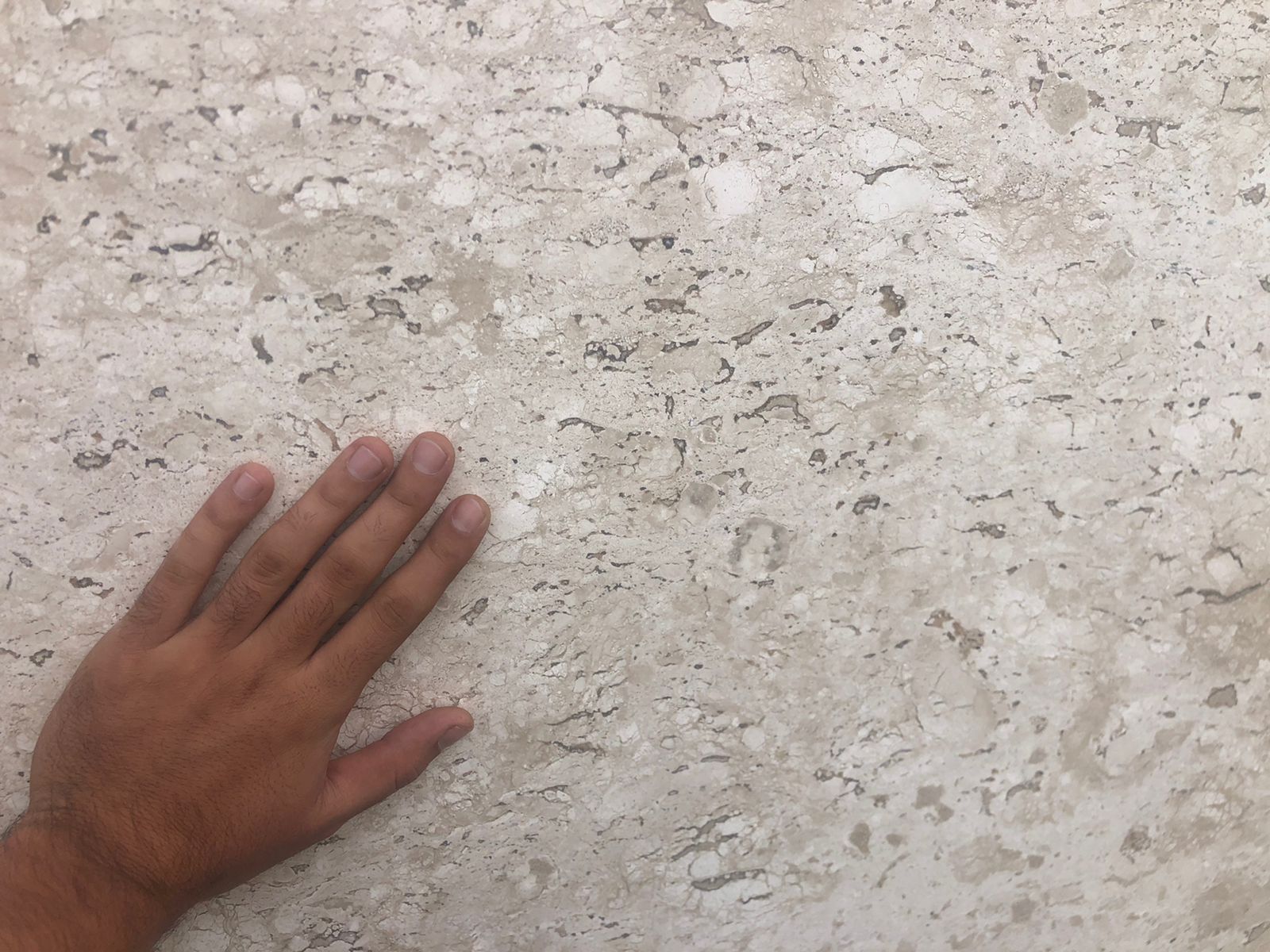 Imagem do WhatsApp de 2023-05-18 à(s) 10.39.51.jpg